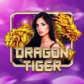 Dragon Tiger at jljl55 club